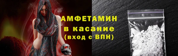 прущие грибы Абинск