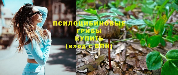 прущий лед Абдулино