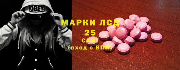 прущие грибы Абинск