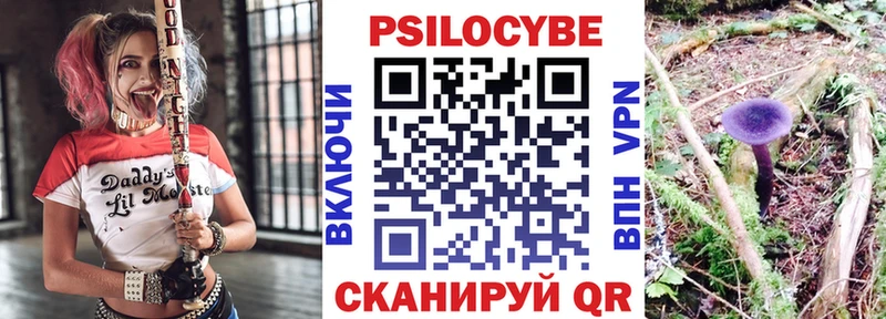 блэк спрут ссылка  Камень-на-Оби  Псилоцибиновые грибы мицелий 